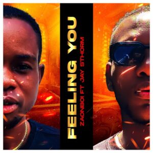 Zaonboi Feat Jay shrom – Feeling you (mp3 download)